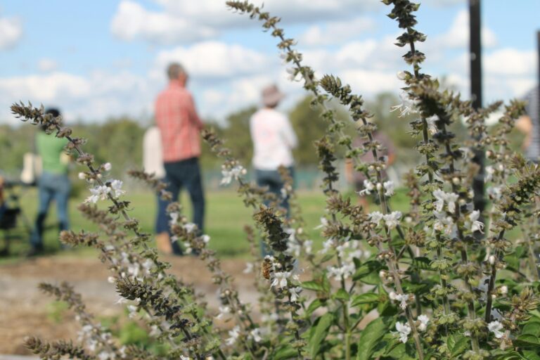 Radical Collaboration : pourquoi ce nom ?